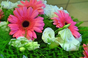 Pulmad Haapsalus svg+xml,%3Csvg%20xmlns%3D%22http%3A%2F%2Fwww.w3 - Pulmad Haapsalus