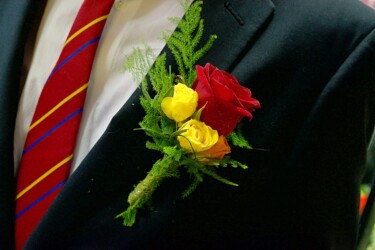 Pulmad Haapsalus svg+xml,%3Csvg%20xmlns%3D%22http%3A%2F%2Fwww.w3 - Pulmad Haapsalus