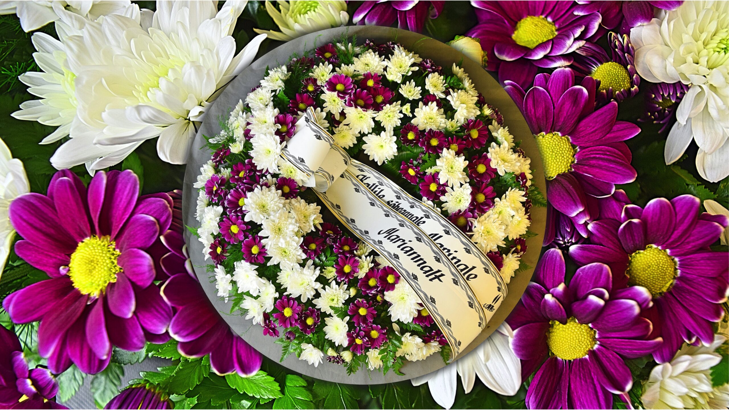 Matus Haapsalus matusepärg scaled - Matus Haapsalus