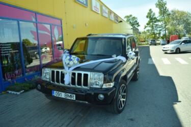 Pulmad Haapsalus svg+xml,%3Csvg%20xmlns%3D%22http%3A%2F%2Fwww.w3 - Pulmad Haapsalus