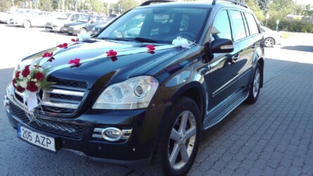 Pulmad Haapsalus svg+xml,%3Csvg%20xmlns%3D%22http%3A%2F%2Fwww.w3 - Pulmad Haapsalus