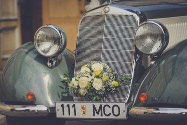 Pulmad Haapsalus svg+xml,%3Csvg%20xmlns%3D%22http%3A%2F%2Fwww.w3 - Pulmad Haapsalus