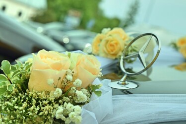 Pulmad Haapsalus svg+xml,%3Csvg%20xmlns%3D%22http%3A%2F%2Fwww.w3 - Pulmad Haapsalus