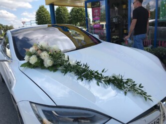 Pulmad Haapsalus svg+xml,%3Csvg%20xmlns%3D%22http%3A%2F%2Fwww.w3 - Pulmad Haapsalus