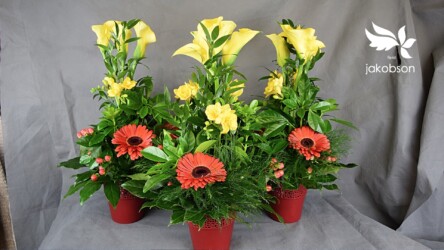 Pulmad Haapsalus svg+xml,%3Csvg%20xmlns%3D%22http%3A%2F%2Fwww.w3 - Pulmad Haapsalus