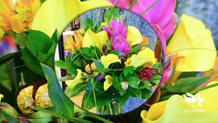 Pulmad Haapsalus svg+xml,%3Csvg%20xmlns%3D%22http%3A%2F%2Fwww.w3 - Pulmad Haapsalus