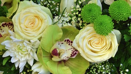 Pulmad Haapsalus svg+xml,%3Csvg%20xmlns%3D%22http%3A%2F%2Fwww.w3 - Pulmad Haapsalus