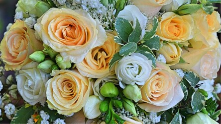 Pulmad Haapsalus svg+xml,%3Csvg%20xmlns%3D%22http%3A%2F%2Fwww.w3 - Pulmad Haapsalus