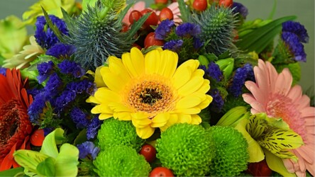 Pulmad Haapsalus svg+xml,%3Csvg%20xmlns%3D%22http%3A%2F%2Fwww.w3 - Pulmad Haapsalus