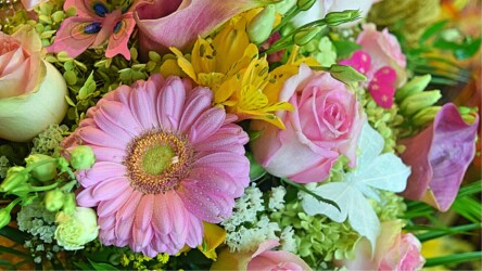 Pulmad Haapsalus svg+xml,%3Csvg%20xmlns%3D%22http%3A%2F%2Fwww.w3 - Pulmad Haapsalus