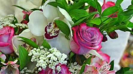 Pulmad Haapsalus svg+xml,%3Csvg%20xmlns%3D%22http%3A%2F%2Fwww.w3 - Pulmad Haapsalus