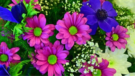 Pulmad Haapsalus svg+xml,%3Csvg%20xmlns%3D%22http%3A%2F%2Fwww.w3 - Pulmad Haapsalus