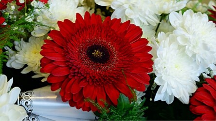 Pulmad Haapsalus svg+xml,%3Csvg%20xmlns%3D%22http%3A%2F%2Fwww.w3 - Pulmad Haapsalus