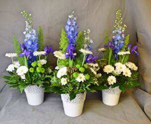 Pulmad Haapsalus svg+xml,%3Csvg%20xmlns%3D%22http%3A%2F%2Fwww.w3 - Pulmad Haapsalus