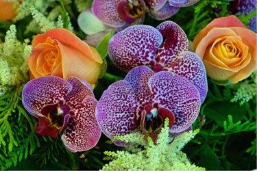 Pulmad Haapsalus svg+xml,%3Csvg%20xmlns%3D%22http%3A%2F%2Fwww.w3 - Pulmad Haapsalus