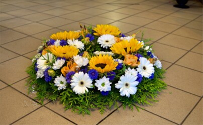 Pulmad Haapsalus svg+xml,%3Csvg%20xmlns%3D%22http%3A%2F%2Fwww.w3 - Pulmad Haapsalus