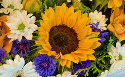 Pulmad Haapsalus svg+xml,%3Csvg%20xmlns%3D%22http%3A%2F%2Fwww.w3 - Pulmad Haapsalus