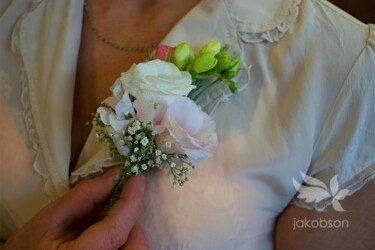 Pulmad Haapsalus svg+xml,%3Csvg%20xmlns%3D%22http%3A%2F%2Fwww.w3 - Pulmad Haapsalus