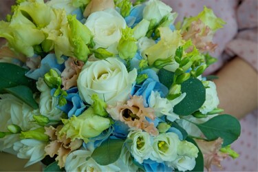 Pulmad Haapsalus svg+xml,%3Csvg%20xmlns%3D%22http%3A%2F%2Fwww.w3 - Pulmad Haapsalus