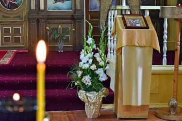 Pulmad Haapsalus svg+xml,%3Csvg%20xmlns%3D%22http%3A%2F%2Fwww.w3 - Pulmad Haapsalus