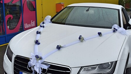 Pulmad Haapsalus svg+xml,%3Csvg%20xmlns%3D%22http%3A%2F%2Fwww.w3 - Pulmad Haapsalus