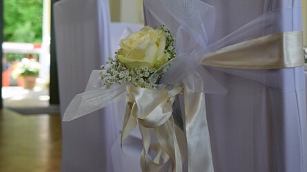 Pulmad Haapsalus svg+xml,%3Csvg%20xmlns%3D%22http%3A%2F%2Fwww.w3 - Pulmad Haapsalus