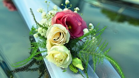 Pulmad Haapsalus svg+xml,%3Csvg%20xmlns%3D%22http%3A%2F%2Fwww.w3 - Pulmad Haapsalus