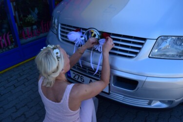 Pulmad Haapsalus svg+xml,%3Csvg%20xmlns%3D%22http%3A%2F%2Fwww.w3 - Pulmad Haapsalus