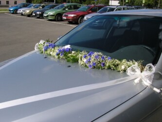 Pulmad Haapsalus svg+xml,%3Csvg%20xmlns%3D%22http%3A%2F%2Fwww.w3 - Pulmad Haapsalus