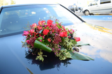 Pulmad Haapsalus svg+xml,%3Csvg%20xmlns%3D%22http%3A%2F%2Fwww.w3 - Pulmad Haapsalus