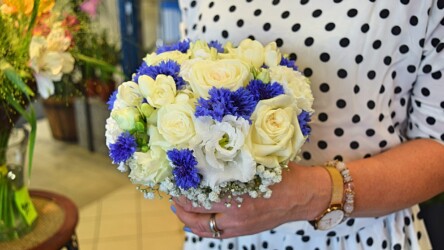 Pulmad Haapsalus svg+xml,%3Csvg%20xmlns%3D%22http%3A%2F%2Fwww.w3 - Pulmad Haapsalus