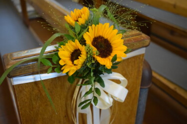 Pulmad Haapsalus svg+xml,%3Csvg%20xmlns%3D%22http%3A%2F%2Fwww.w3 - Pulmad Haapsalus