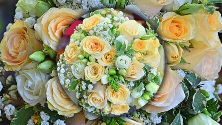 Pulmad Haapsalus svg+xml,%3Csvg%20xmlns%3D%22http%3A%2F%2Fwww.w3 - Pulmad Haapsalus