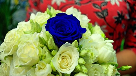 Pulmad Haapsalus svg+xml,%3Csvg%20xmlns%3D%22http%3A%2F%2Fwww.w3 - Pulmad Haapsalus