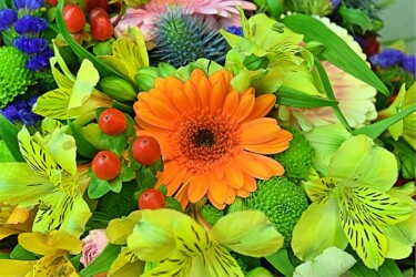 Pulmad Haapsalus svg+xml,%3Csvg%20xmlns%3D%22http%3A%2F%2Fwww.w3 - Pulmad Haapsalus