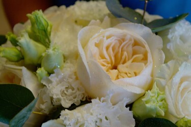 Pulmad Haapsalus svg+xml,%3Csvg%20xmlns%3D%22http%3A%2F%2Fwww.w3 - Pulmad Haapsalus