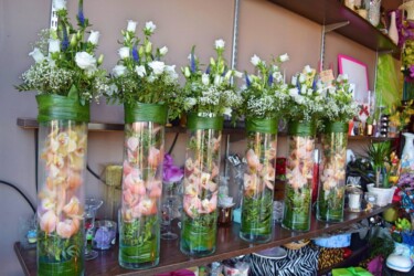 Pulmad Haapsalus svg+xml,%3Csvg%20xmlns%3D%22http%3A%2F%2Fwww.w3 - Pulmad Haapsalus