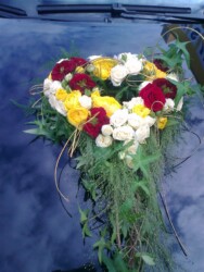 Pulmad Haapsalus svg+xml,%3Csvg%20xmlns%3D%22http%3A%2F%2Fwww.w3 - Pulmad Haapsalus