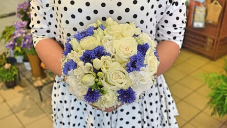 Pulmad Haapsalus svg+xml,%3Csvg%20xmlns%3D%22http%3A%2F%2Fwww.w3 - Pulmad Haapsalus