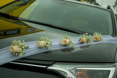 Pulmad Haapsalus svg+xml,%3Csvg%20xmlns%3D%22http%3A%2F%2Fwww.w3 - Pulmad Haapsalus