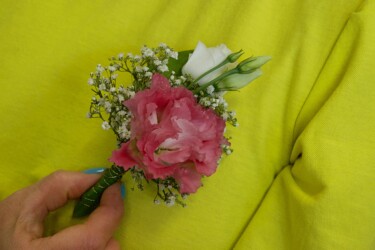 Pulmad Haapsalus svg+xml,%3Csvg%20xmlns%3D%22http%3A%2F%2Fwww.w3 - Pulmad Haapsalus