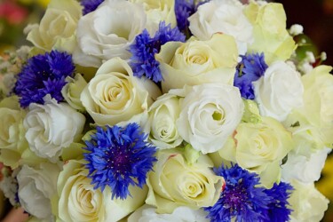 Pulmad Haapsalus svg+xml,%3Csvg%20xmlns%3D%22http%3A%2F%2Fwww.w3 - Pulmad Haapsalus