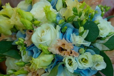 Pulmad Haapsalus svg+xml,%3Csvg%20xmlns%3D%22http%3A%2F%2Fwww.w3 - Pulmad Haapsalus