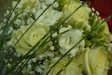 Pulmad Haapsalus svg+xml,%3Csvg%20xmlns%3D%22http%3A%2F%2Fwww.w3 - Pulmad Haapsalus