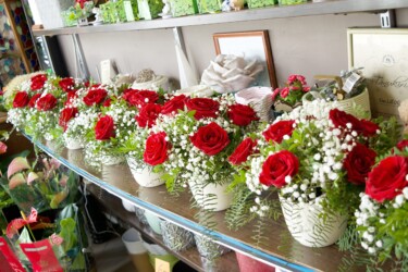 Pulmad Haapsalus svg+xml,%3Csvg%20xmlns%3D%22http%3A%2F%2Fwww.w3 - Pulmad Haapsalus