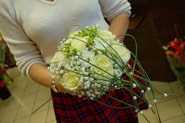 Pulmad Haapsalus svg+xml,%3Csvg%20xmlns%3D%22http%3A%2F%2Fwww.w3 - Pulmad Haapsalus