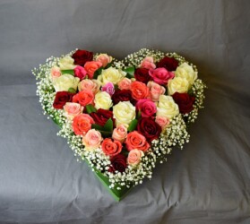 Pulmad Haapsalus svg+xml,%3Csvg%20xmlns%3D%22http%3A%2F%2Fwww.w3 - Pulmad Haapsalus