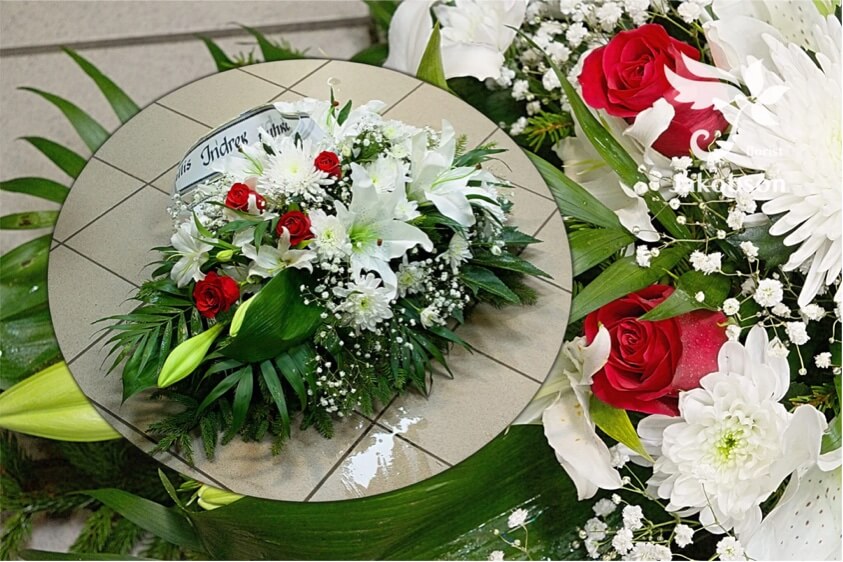 Leinakimbud uus 2 - Leinakimbud