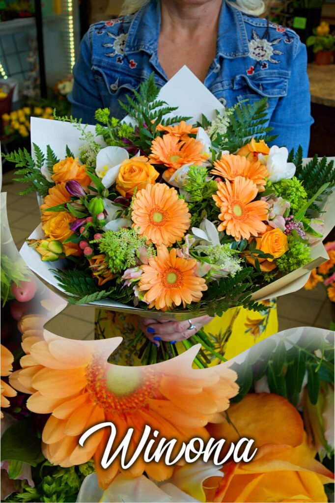 Haapsalu Lillekuller winona 682x1024 - Haapsalu Lillekuller