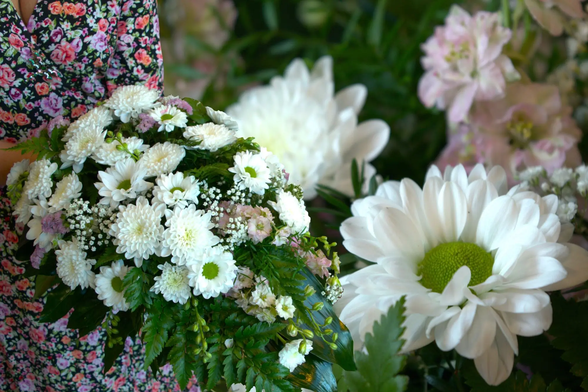 Leinakimbud urnimatus - Leinakimbud